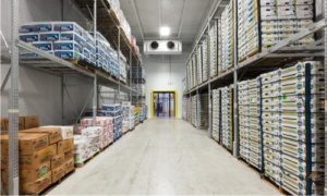 Cold Storage & Ripening Chamber