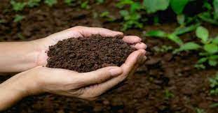 Soil-in-hand